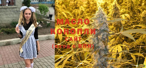прущие грибы Новодвинск