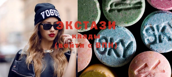 прущие грибы Новодвинск